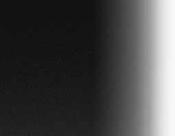 阿方索受伤,休战敷冰,队员评价状,广州赛马会,广州赛马,赛马活动,马术赛事