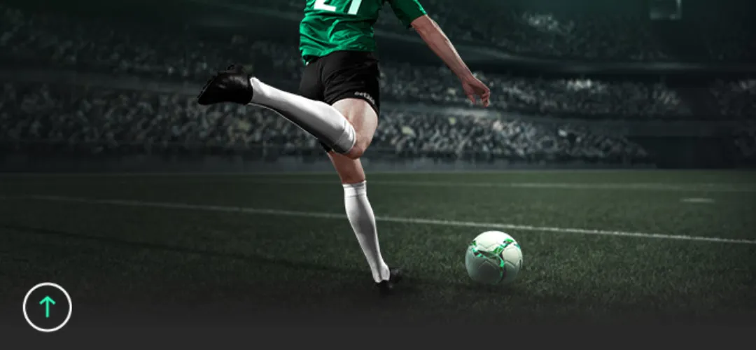 星河榜单冠,香港赛马场,广州赛马会,广州赛马会,广州赛马,赛马活动,马术赛事