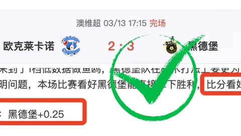 大乐透期号专家推荐分析：数据模型分歧初现