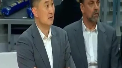 近20场15胜攻，马术赛事，略，战绩爆表独家比分胜负解析